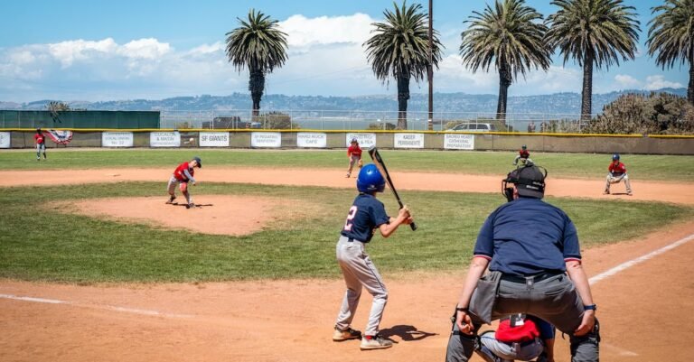 Baseball And What You Should Do To Get Into It
