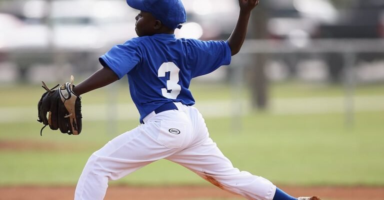 Everything You Have Ever Wanted To Know About Baseball