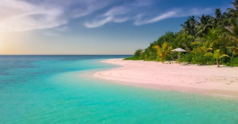 Pack Your Suitcase And Use These Tips To Travel