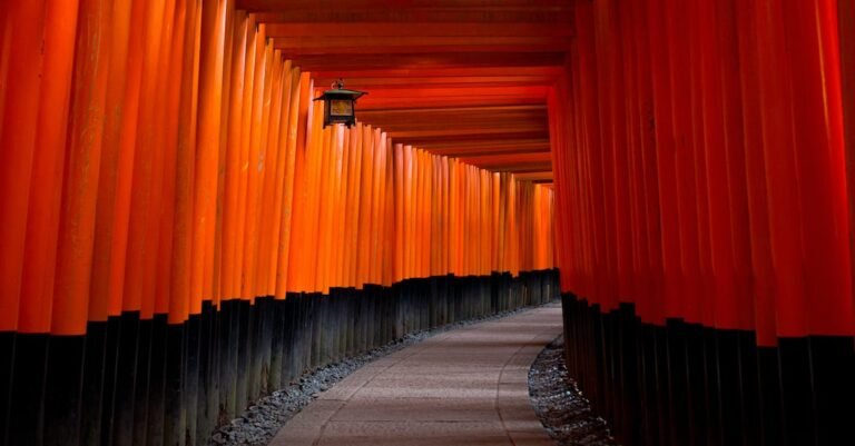 Make Sure To Have Travel Insurance If Traveling Overseas