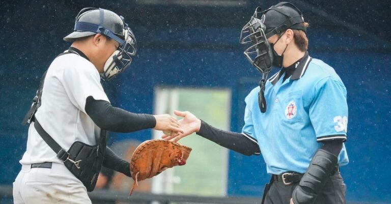 Excellent Article With Many Great Tips About Baseball