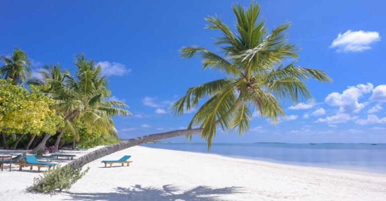 Get The Travel Tips That Will Help You Save Money And Time